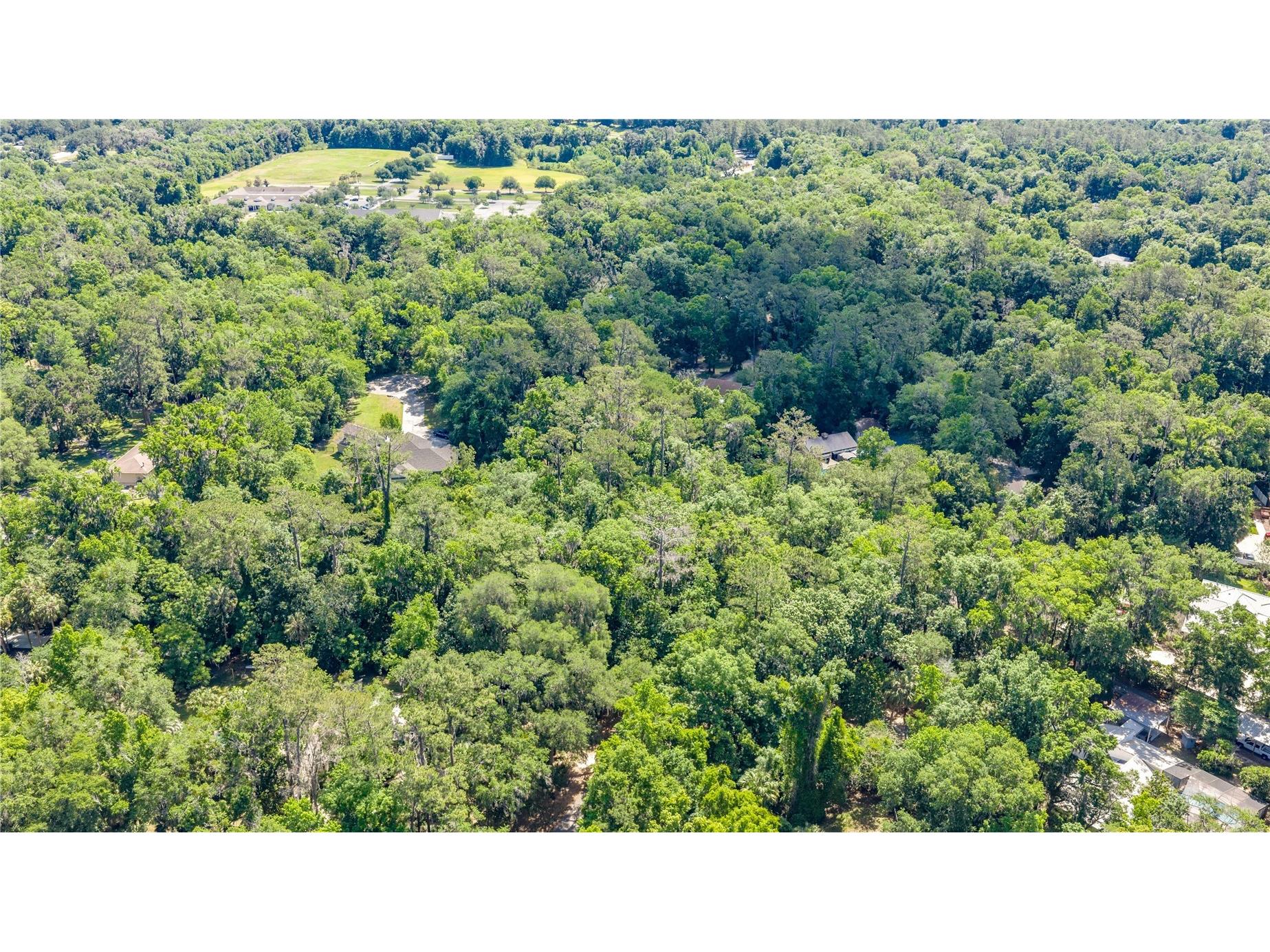 SW 45th Street Ocala FL 34471 OM723378 image5