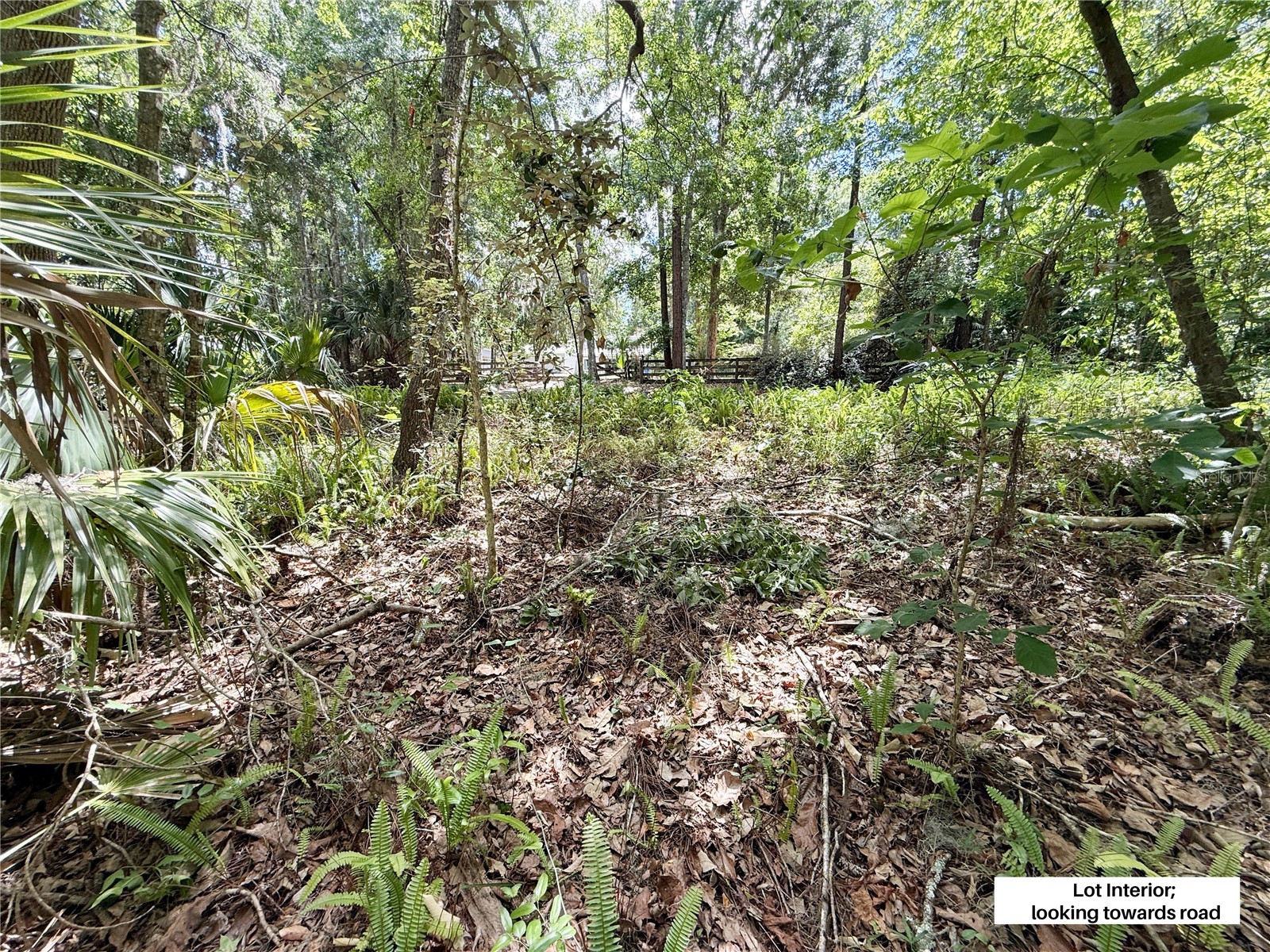 SW 45th Street Ocala FL 34471 OM723378 image6