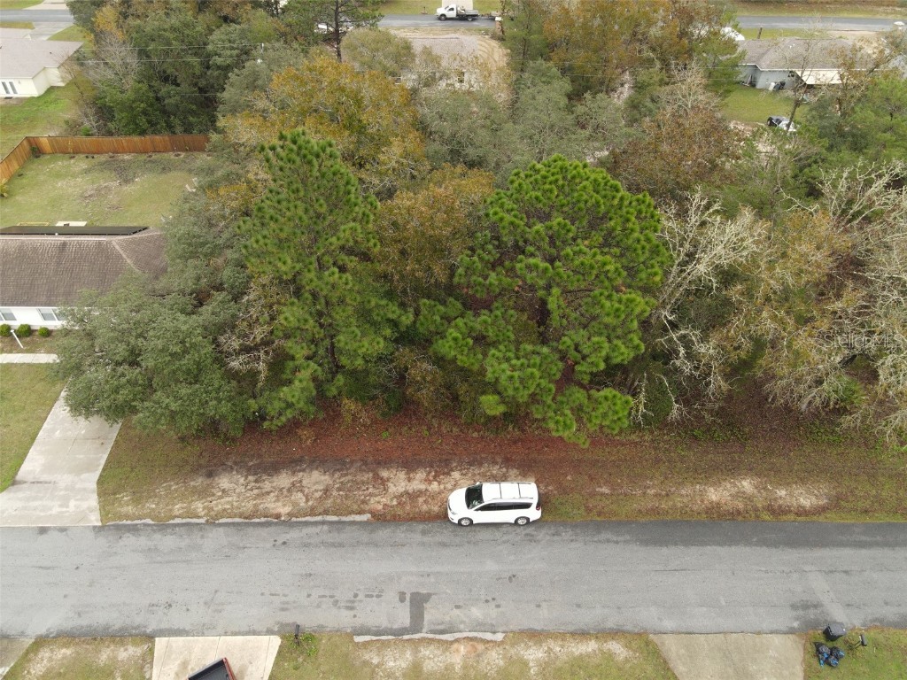 SW 46th Circle Ocala FL 34473 OM650508 image1