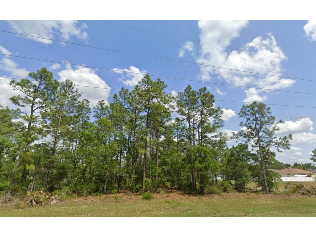 SW 484 Highway #LOT 6 Ocala FL 34473 O6395915 image2