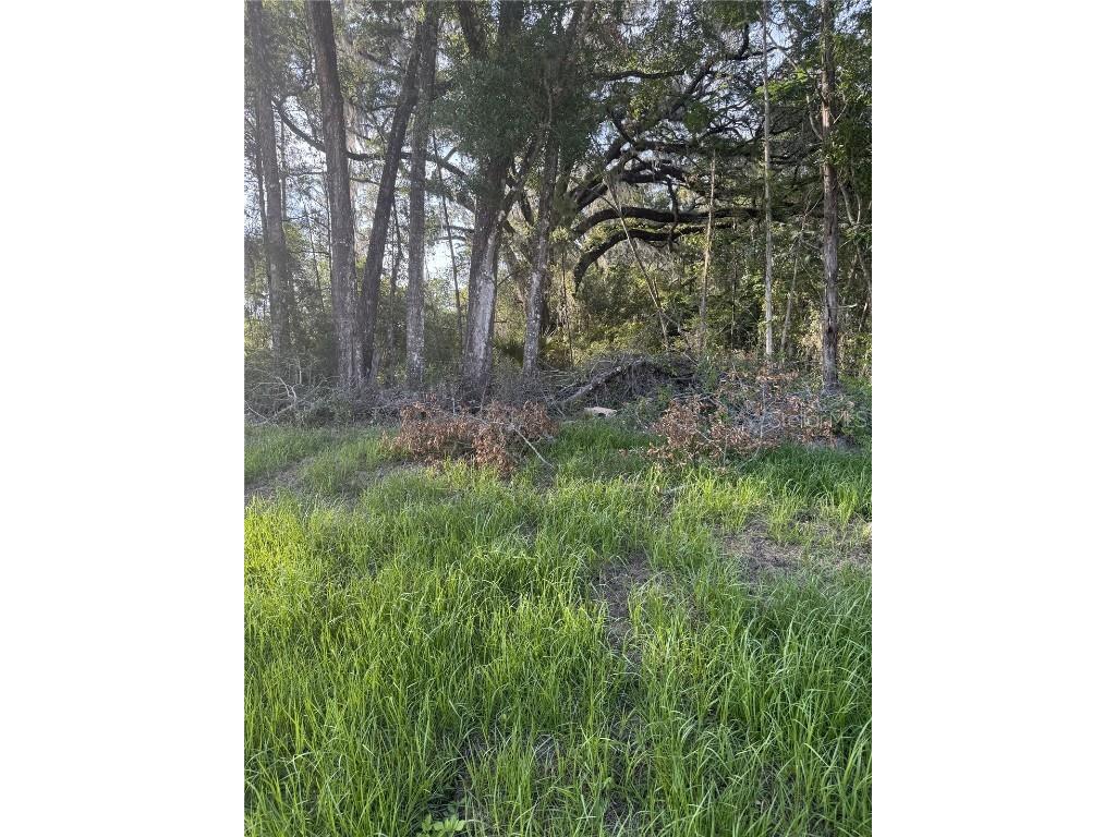 SW 50 Terrace Gainesville FL 32608 GC531155 image1