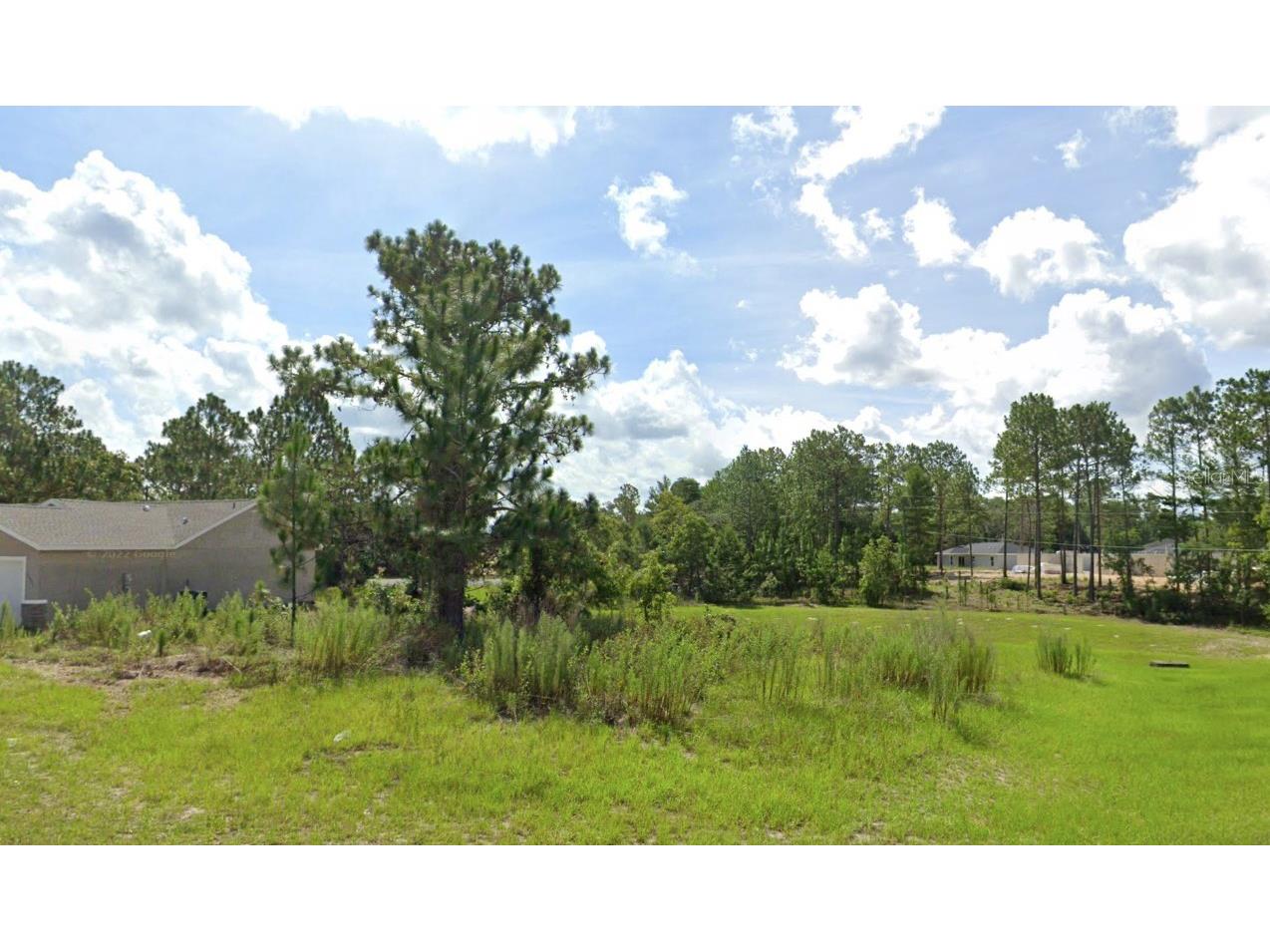 SW 50th Avenue Road Ocala FL 34473 O6275943 image1