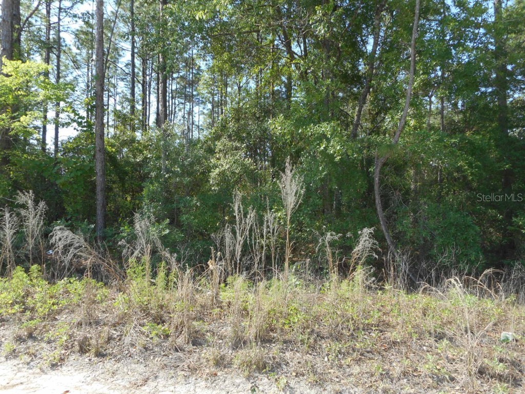 SW 51st Lane Dunnellon FL 34432 OM701319 image1