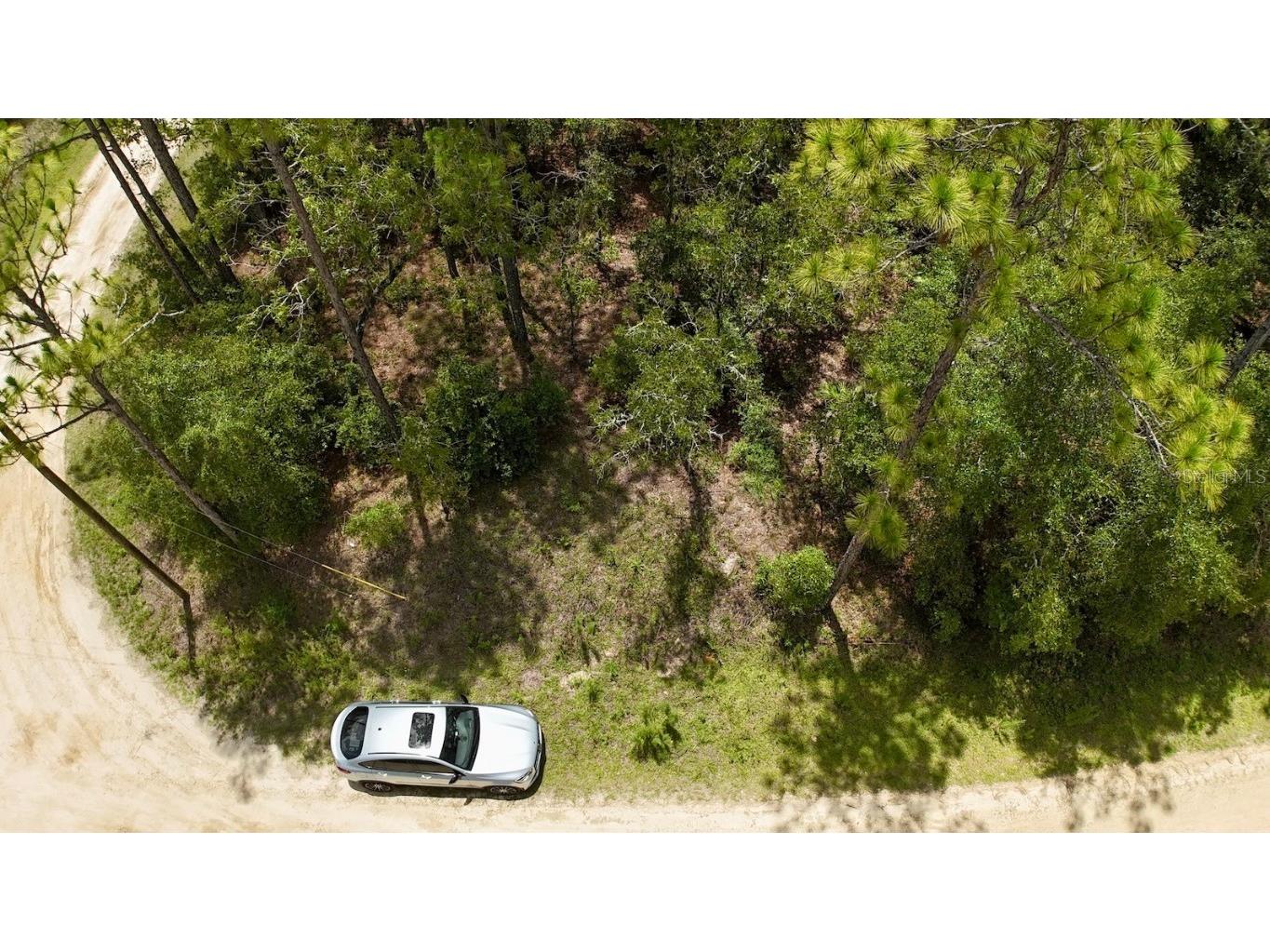 SW 52 Lane Road #8 Ocala FL 34481 OM706351 image3