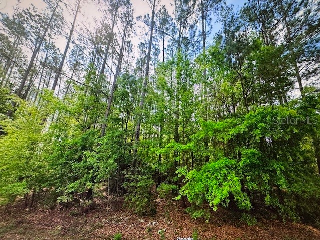 SW 52 Terrace Jasper FL 32052 O6253650 image1
