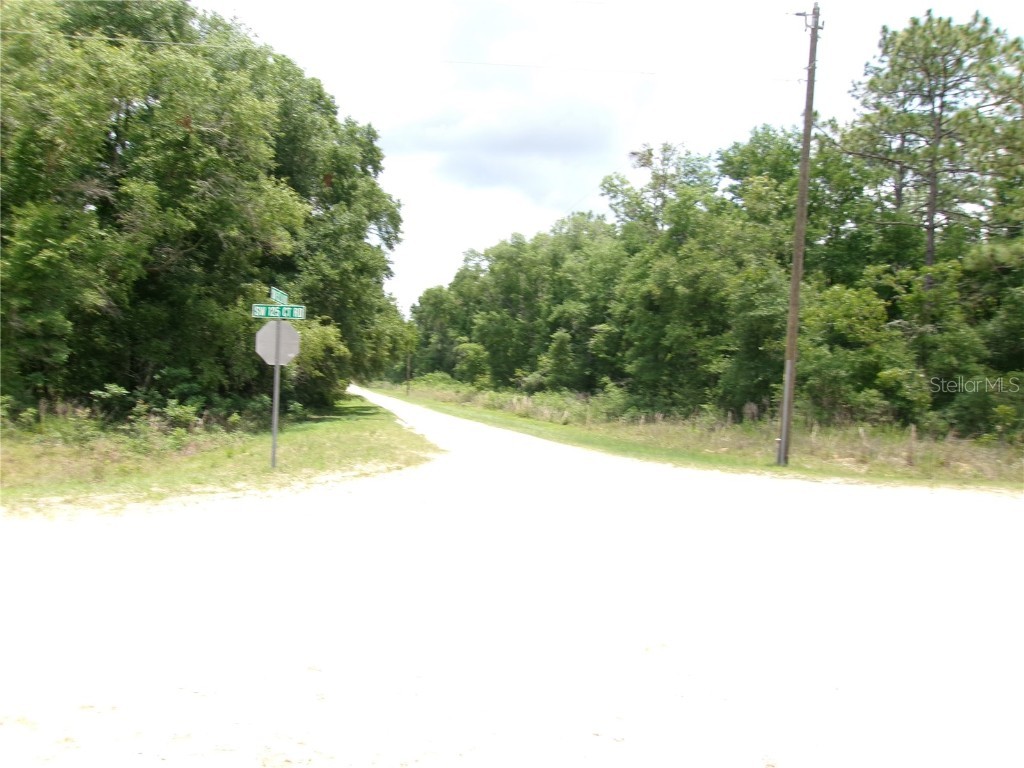 SW 52nd Lane Road Ocala FL 34481 OM679396 image1
