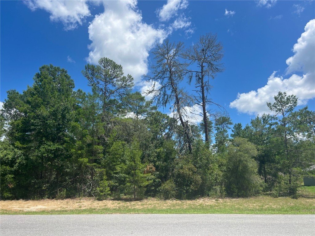 SW 52nd Ocala FL 34473 OM679282 image1