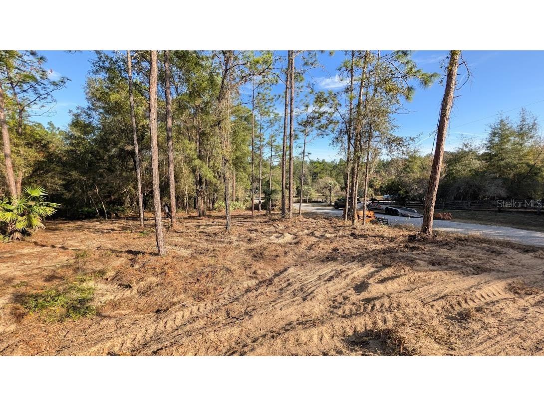 SW 53rd Street Ocala FL 34481 OM714620 image10