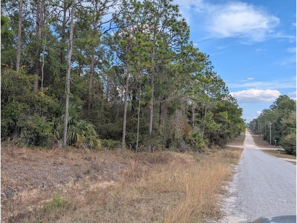 SW 53rd Street Ocala FL 34481 OM714620 image13