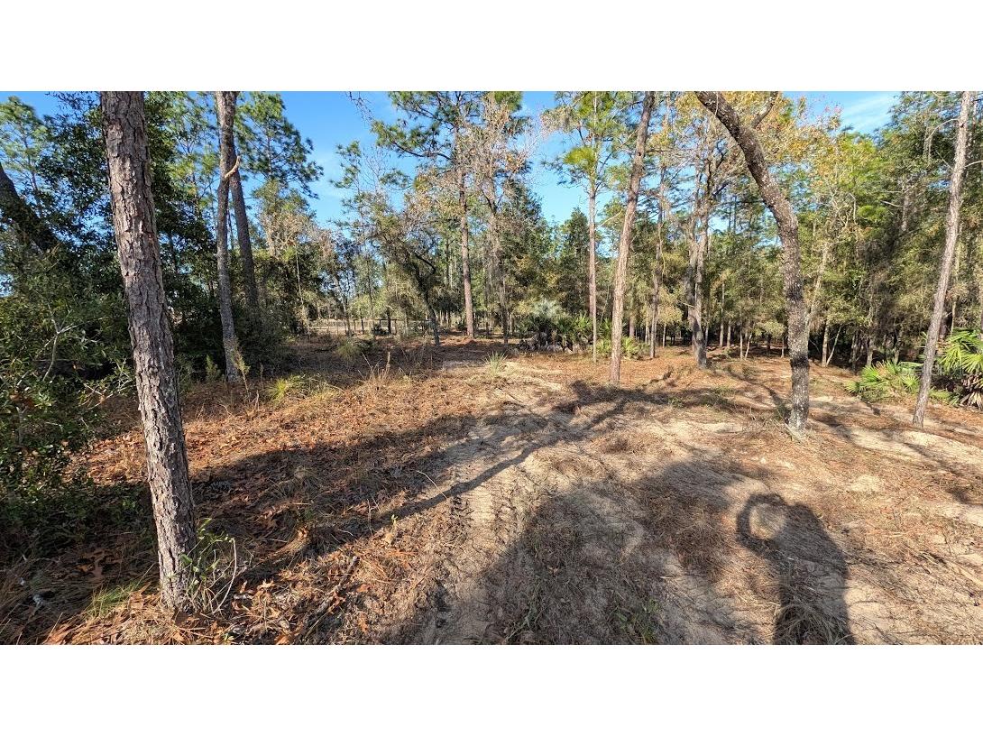 SW 53rd Street Ocala FL 34481 OM714620 image5