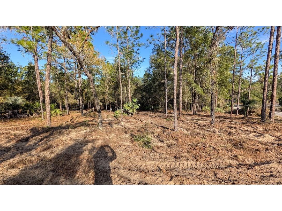 SW 53rd Street Ocala FL 34481 OM714620 image6