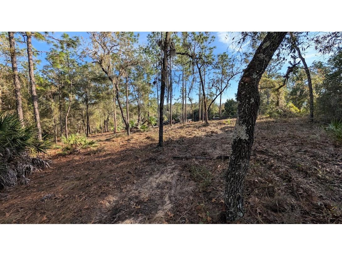 SW 53rd Street Ocala FL 34481 OM714620 image8