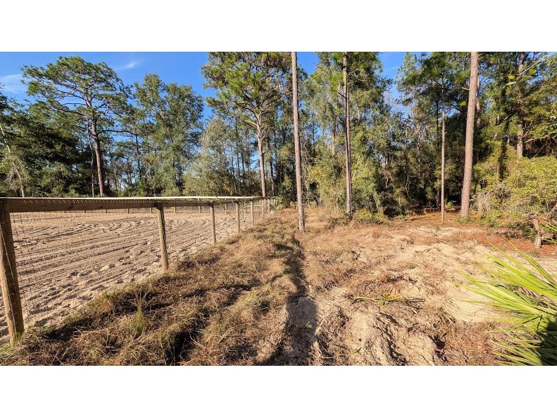 SW 53rd Street Ocala FL 34481 OM714620 image9