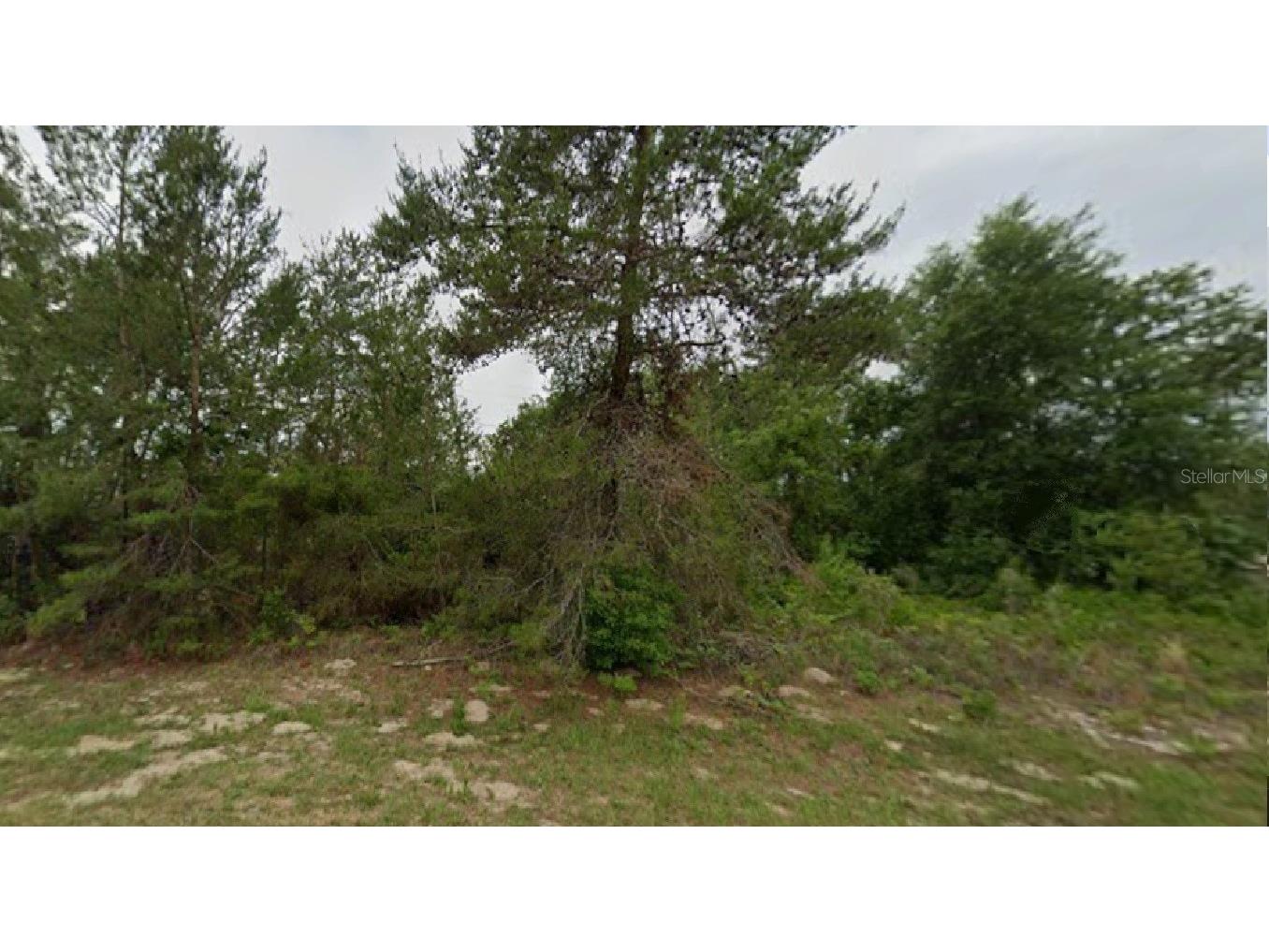 SW 54th Court Road Ocala FL 34473 R4910874 image1