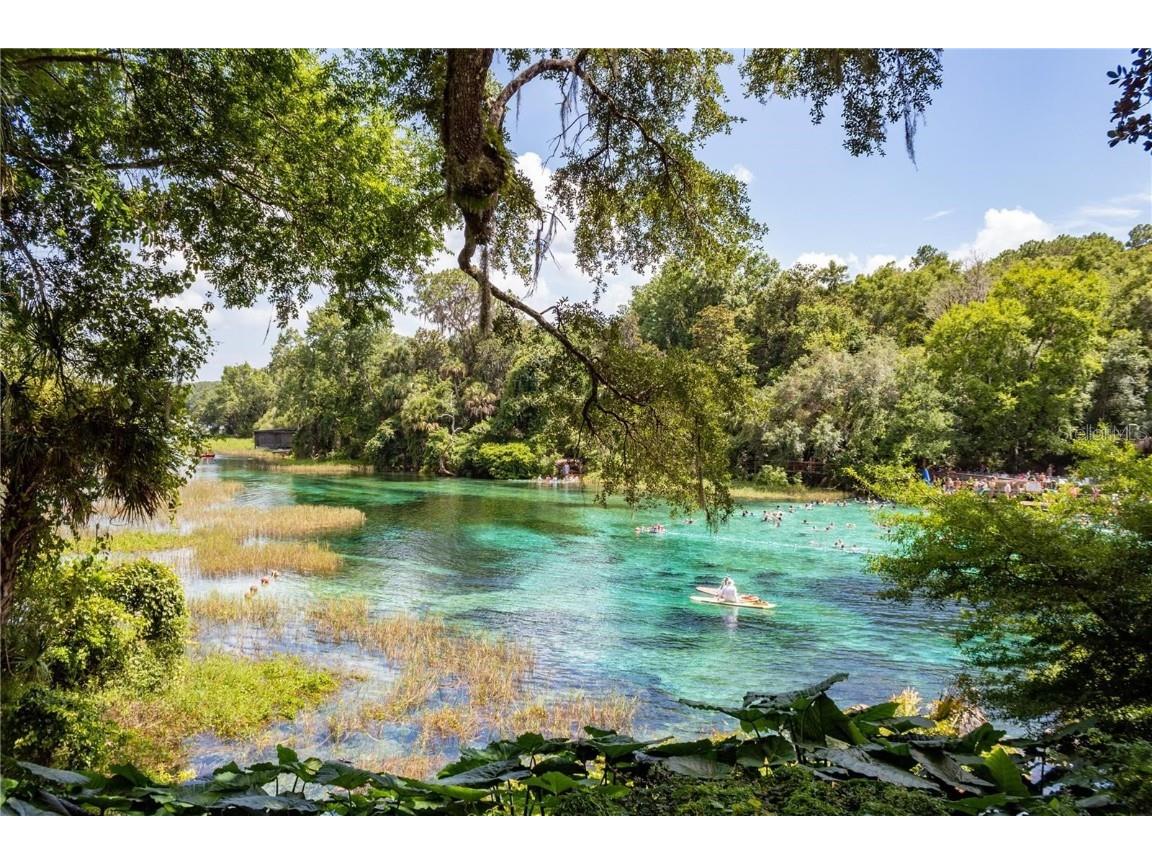 SW 54th Street Dunnellon FL 34431 TB8411886 image12