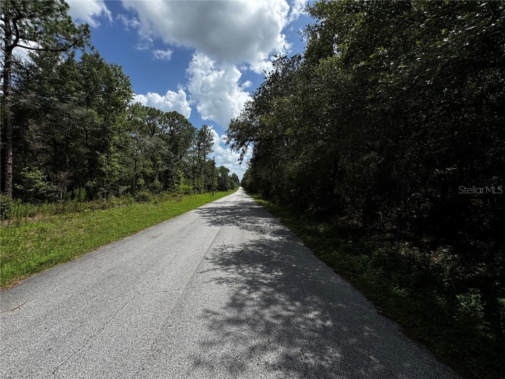 SW 54th Street Dunnellon FL 34431 TB8411886 image2