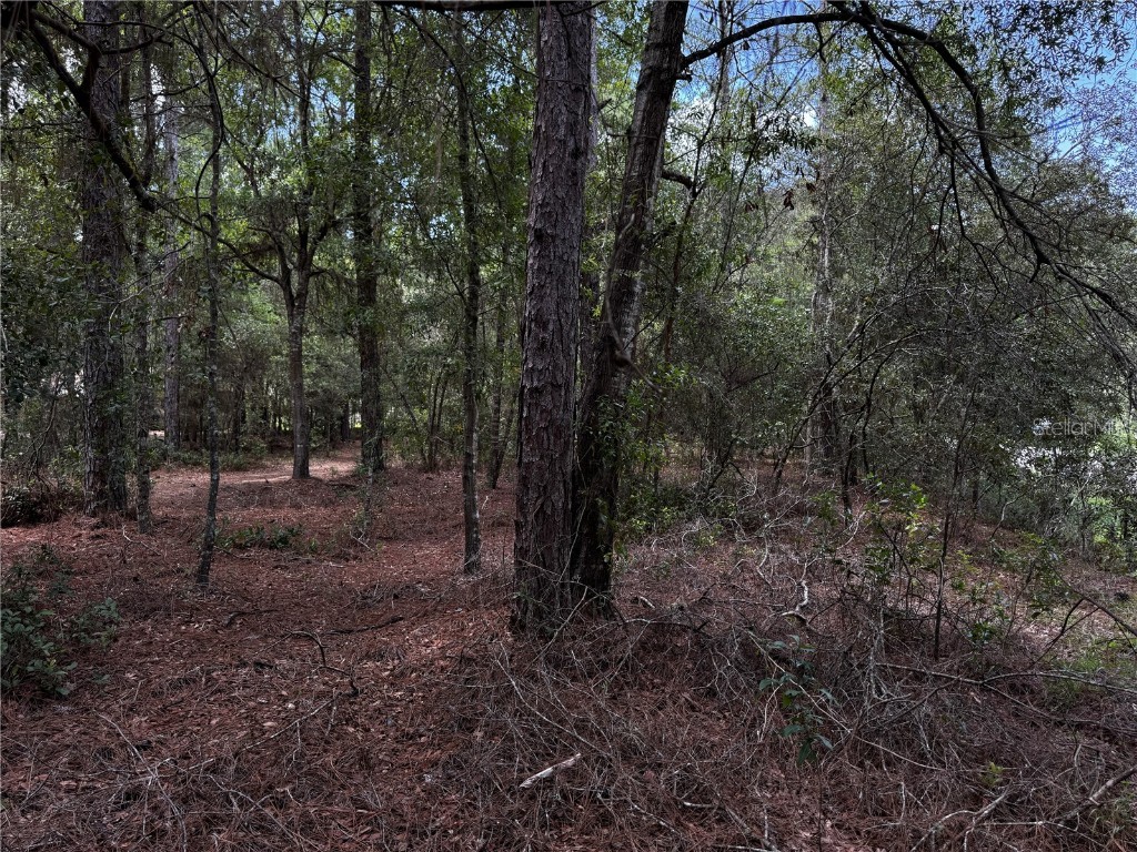 SW 54th Street Dunnellon FL 34431 TB8411886 image6