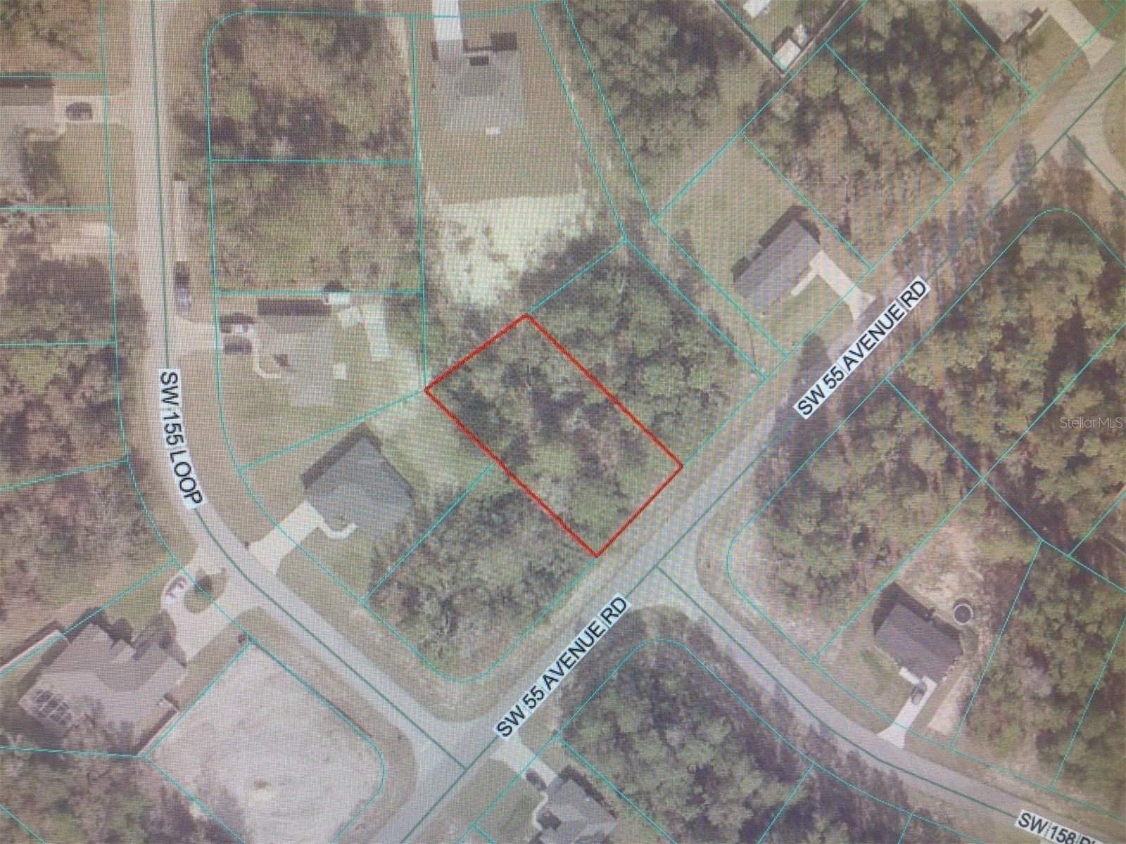 SW 55 Avenue Road Ocala FL 34473 OM718482 image3