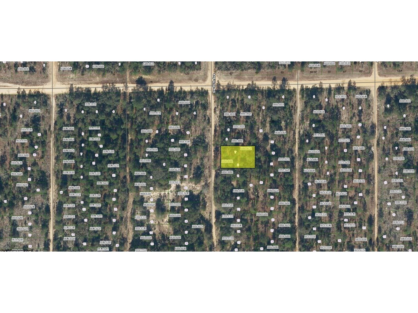 SW 55th Avenue Interlachen FL 32148 OM700875 image1