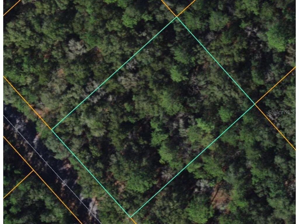 SW 55th Court Road Ocala FL 34473 G5079892 image1