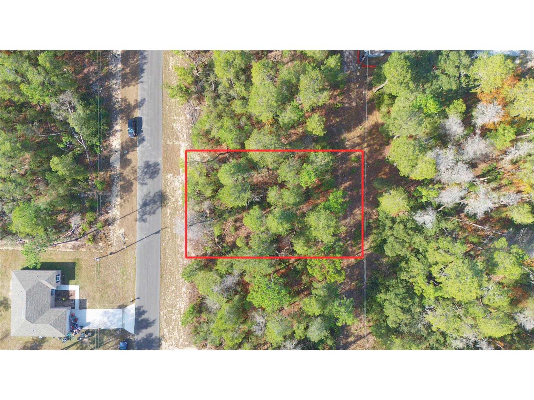 SW 55th Court Road Ocala FL 34473 O6373099 image7