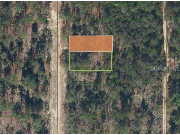 SW 57th Avenue Interlachen FL 32148 OM710214 image1