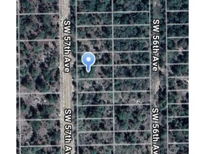 SW 57th Avenue Interlachen FL 32148 OM710214 image2