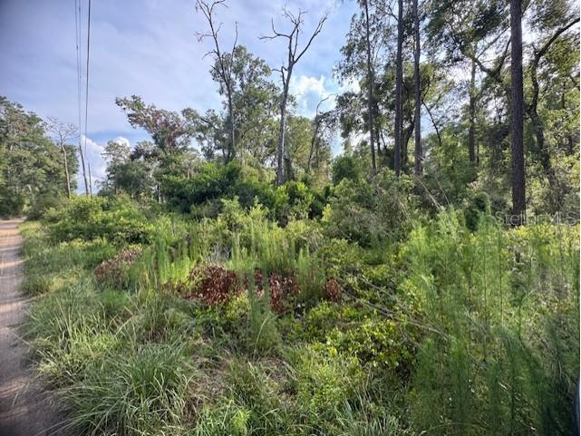 SW 58th Street Webster FL 33597 G5097710 image1