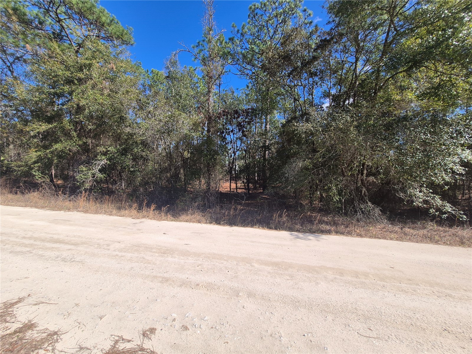Sw 56th Lane Ocala FL 34481 OM697237 image2