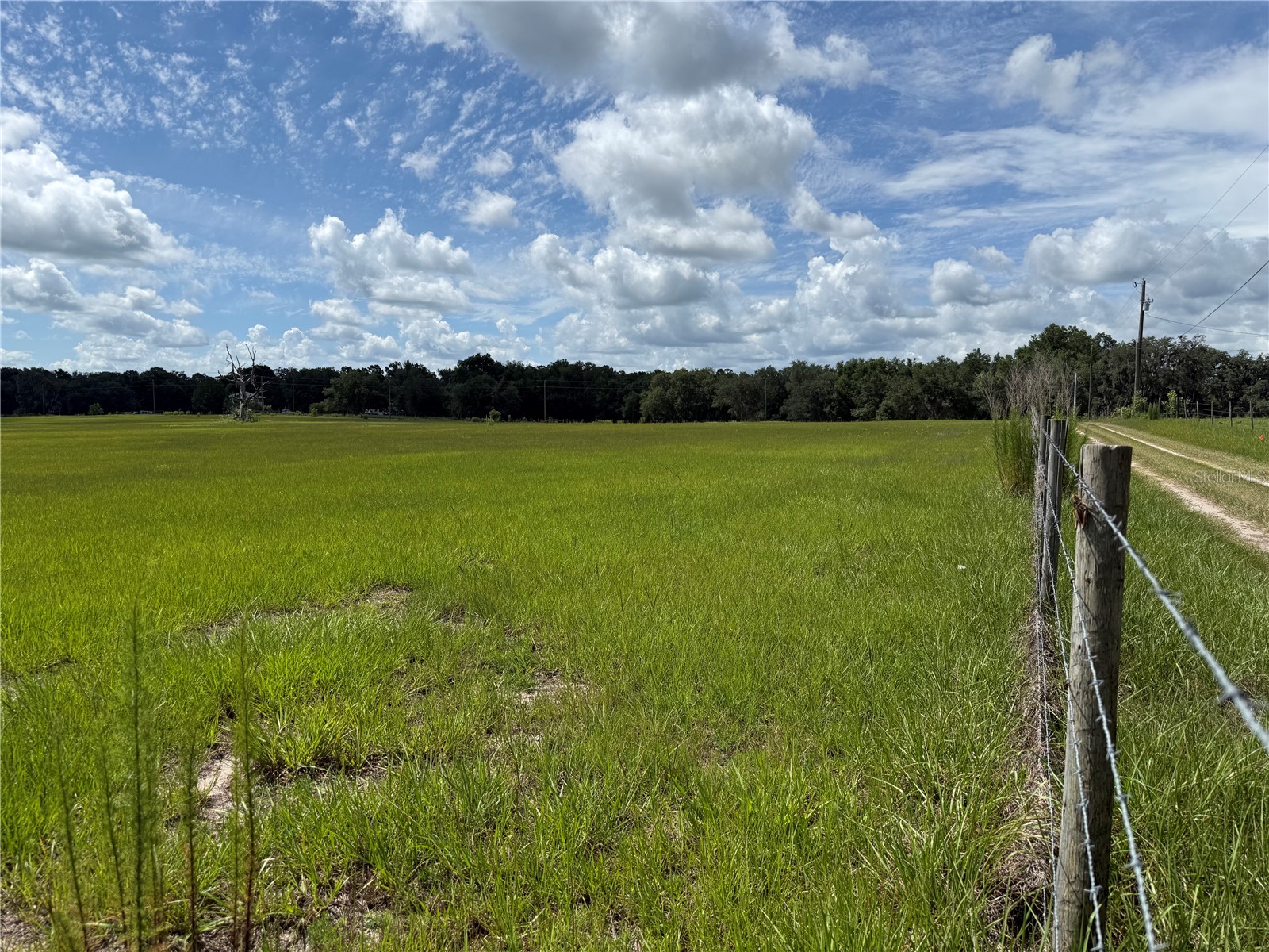 Sw 60th Ave Bushnell FL 33513 G5104463 image14
