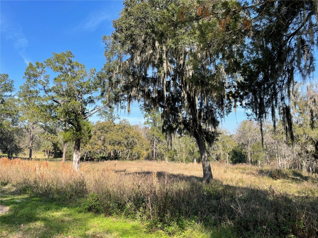 Sw 61 Lane Road Ocala FL 34471 OM672111 image1