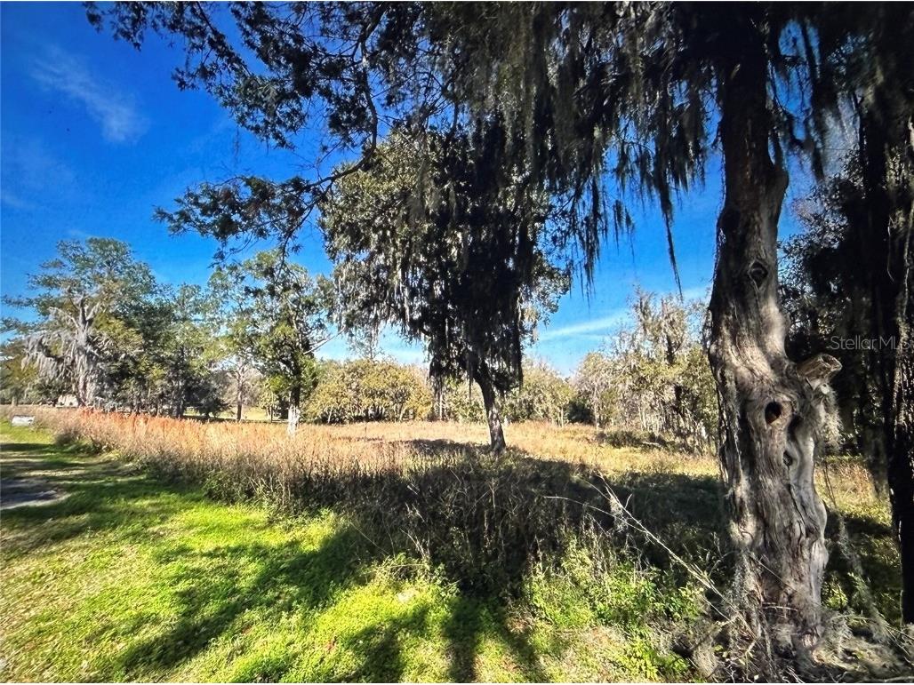 Sw 61 Lane Road Ocala FL 34471 OM705811 image1
