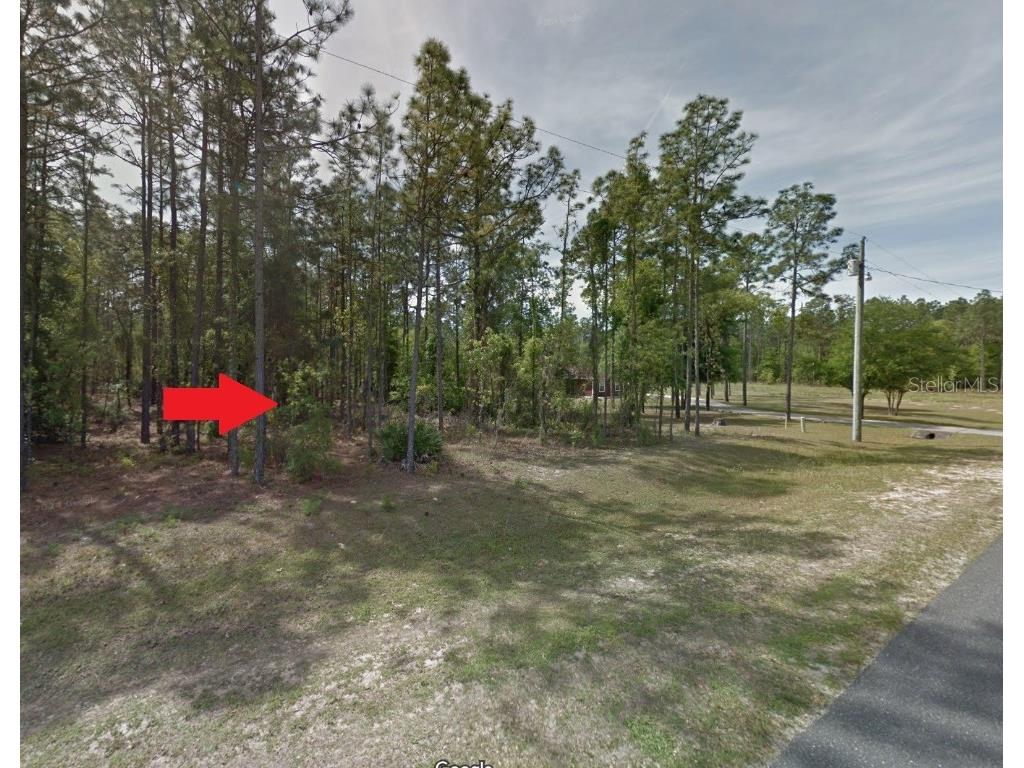 SW 61st Place Rd Ocala FL 34481 OM685440 image1