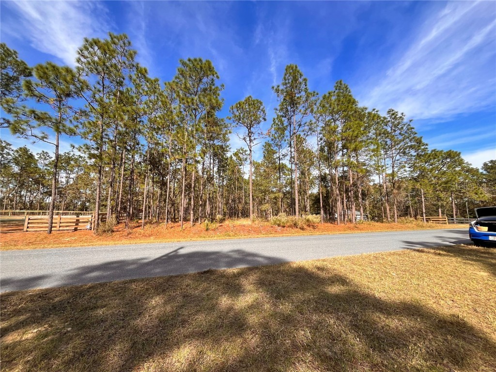 SW 61st Place Road Ocala FL 34481 O6160488 image1