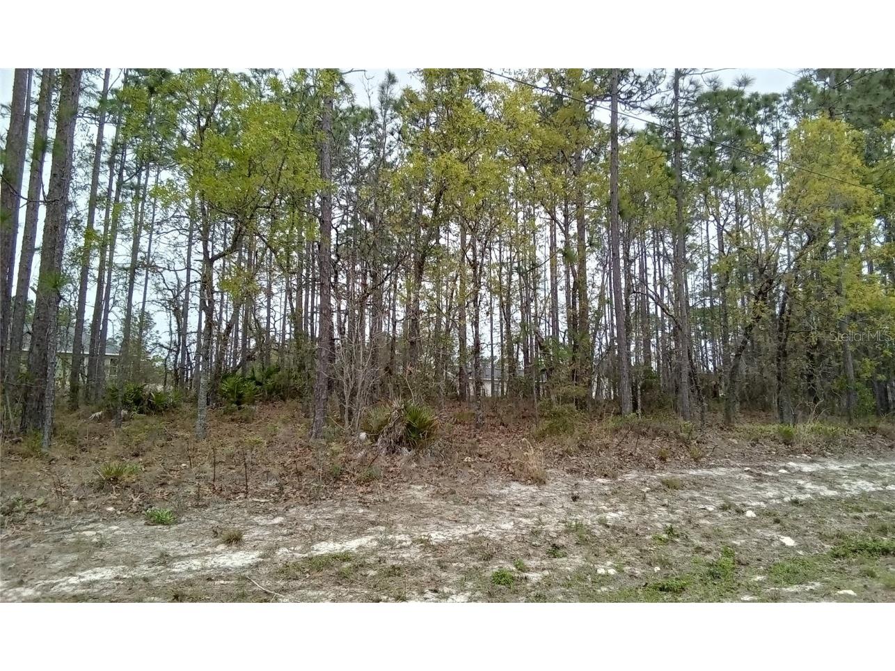 SW 63rd Avenue Ocala FL 34473 OM677081 image1