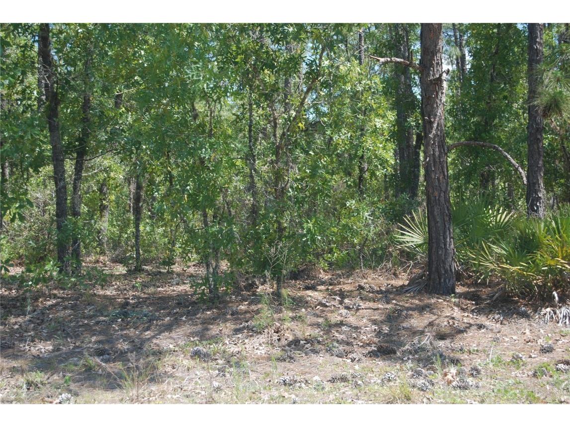 Sw 64 Street Road Ocala FL 34481 OM664520 image1