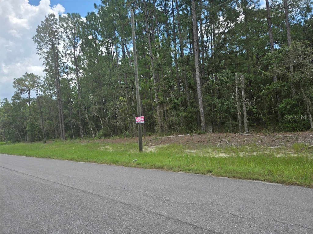 SW 64 Terrace Ocala FL 34473 OM708217 image1
