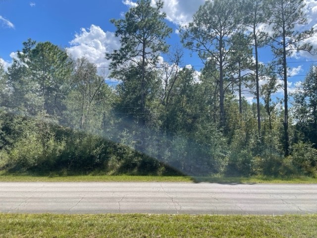 SW 66 Street Ocala FL 34481 OM665107 image1