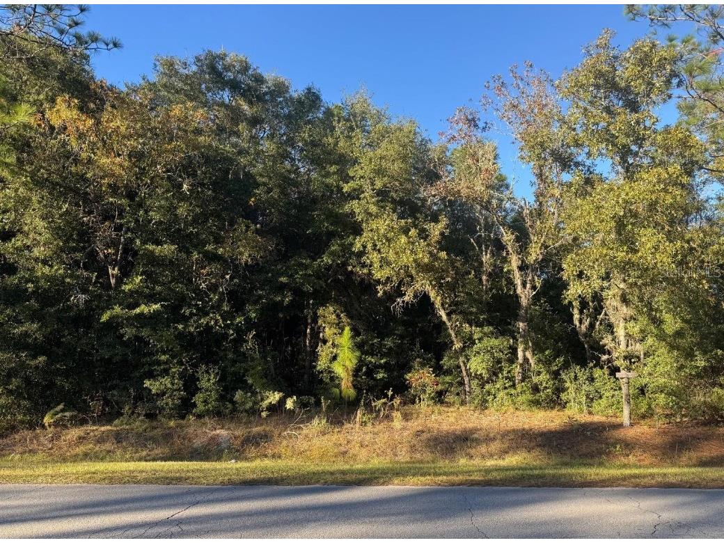 SW 66 Street Ocala FL 34481 OM714495 image1