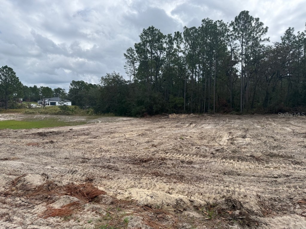 Sw 66th Ave Rd Ocala FL 34473 OM712517 image1
