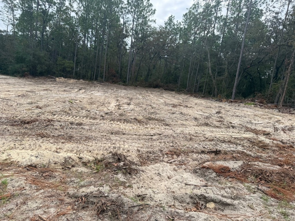 Sw 66th Ave Rd Ocala FL 34473 OM712517 image3