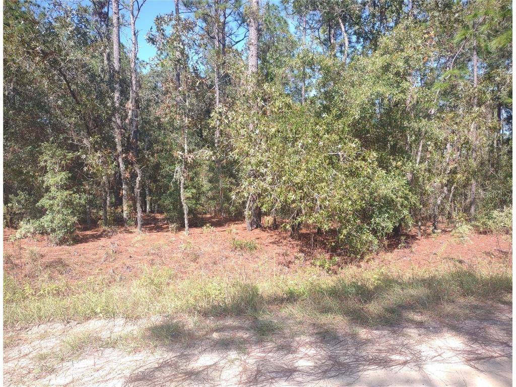 Sw 67 Ln Ocala FL 34481 OM711552 image1