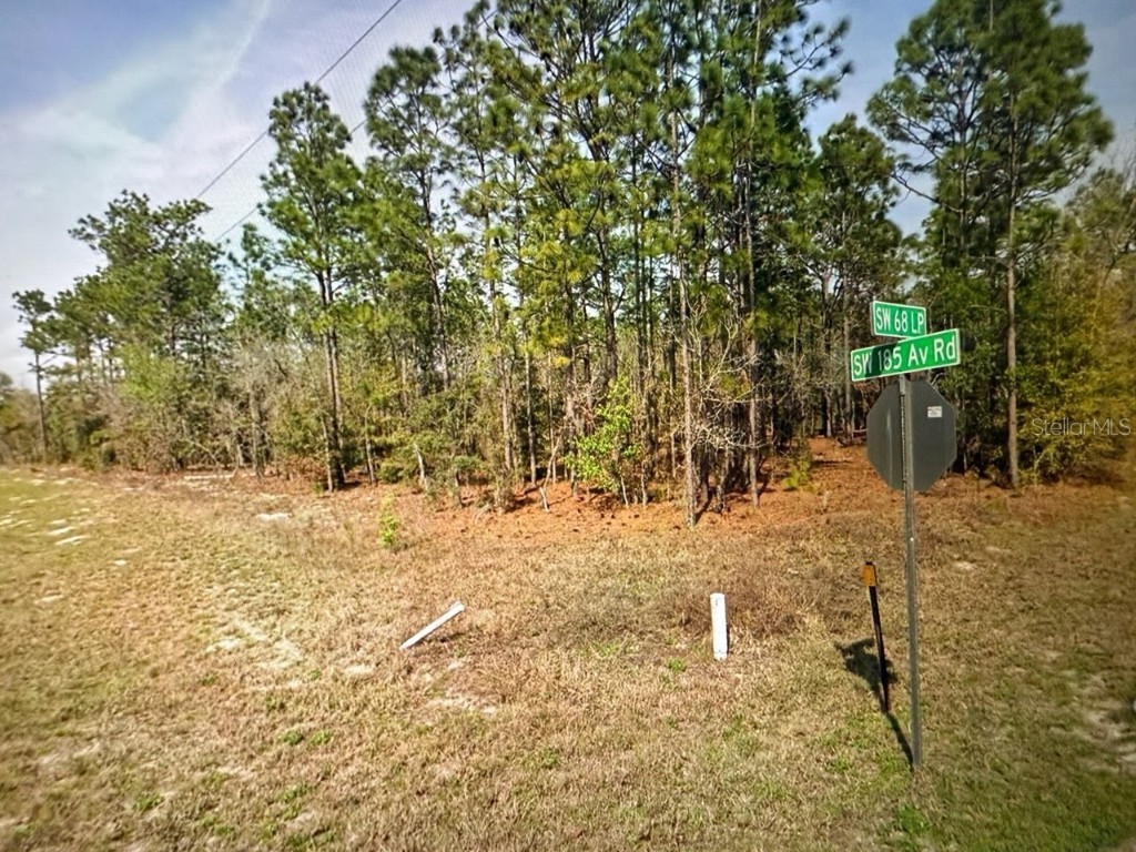 SW 68th Loop Dunnellon FL 34432 W7879504 image1