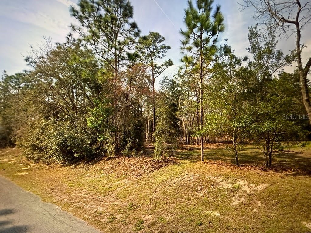 SW 68th Loop Dunnellon FL 34432 W7879504 image2