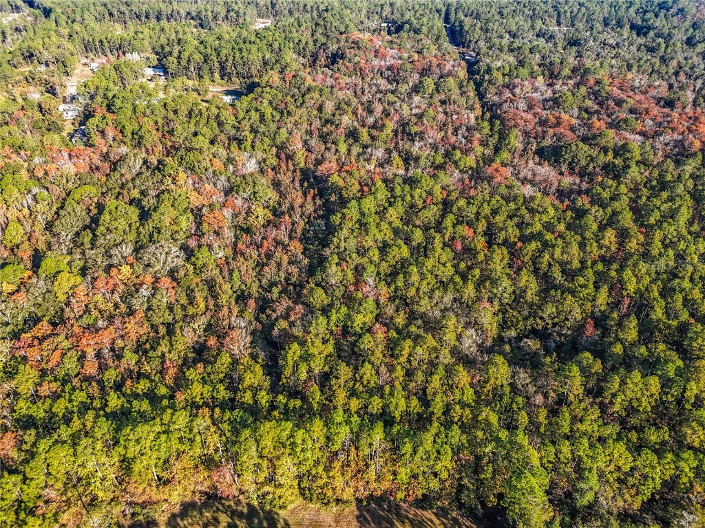 SW 6th Terrace Palatka FL 32177 O6362434 image10