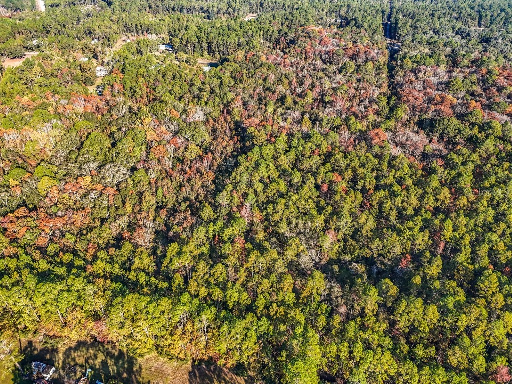 SW 6th Terrace Palatka FL 32177 O6362434 image11