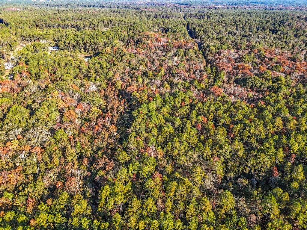 SW 6th Terrace Palatka FL 32177 O6362434 image12