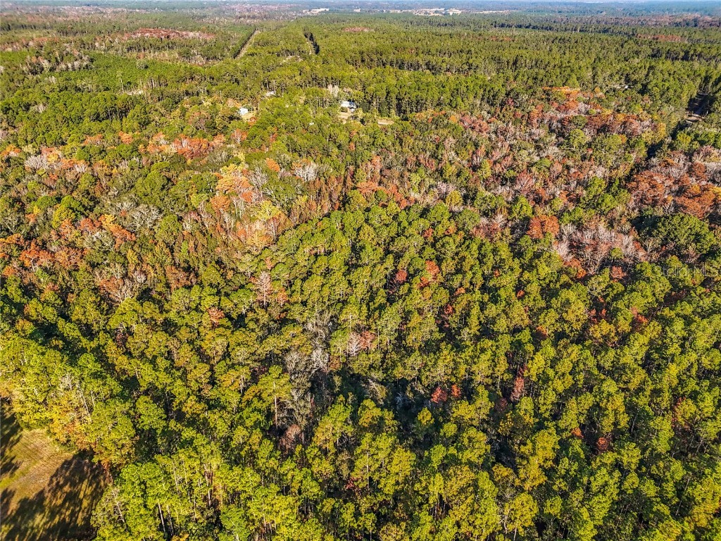 SW 6th Terrace Palatka FL 32177 O6362434 image14