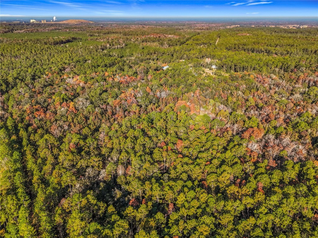 SW 6th Terrace Palatka FL 32177 O6362434 image15