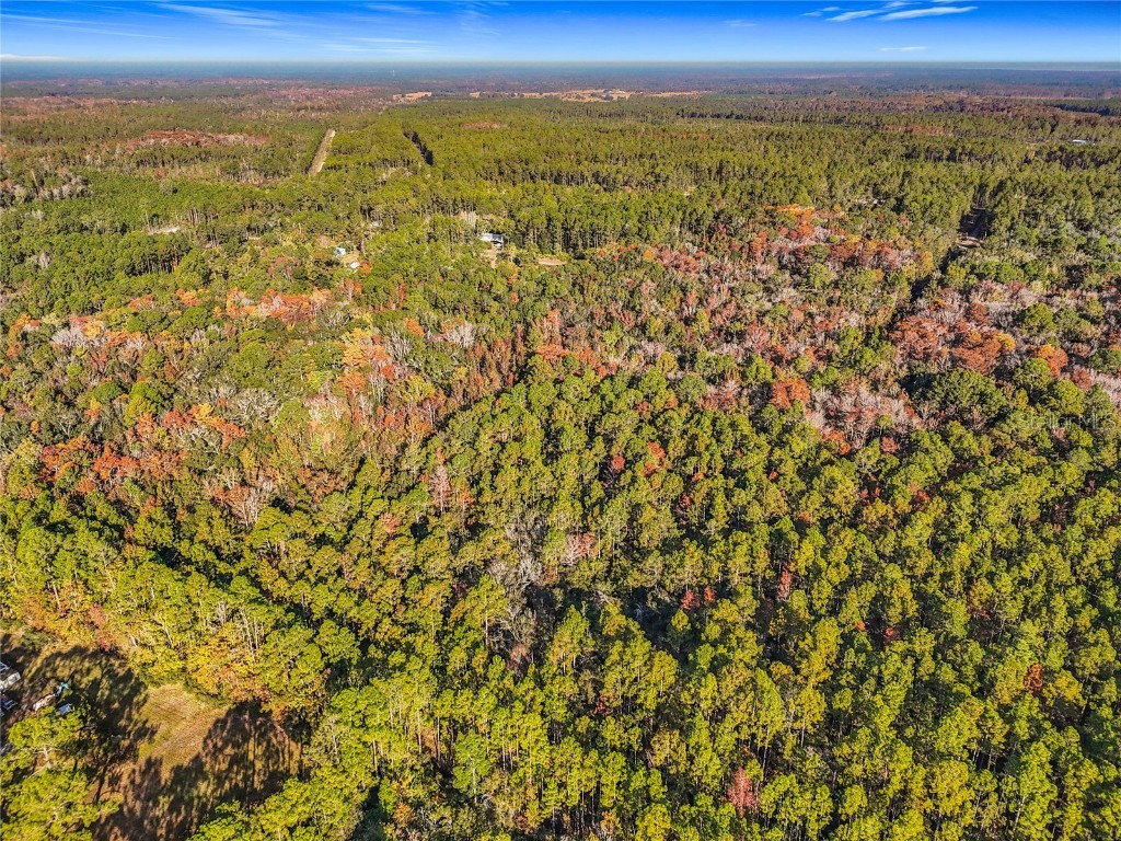 SW 6th Terrace Palatka FL 32177 O6362434 image16